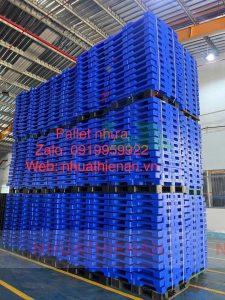 pallet nhựa Tân Hoa Thịnh