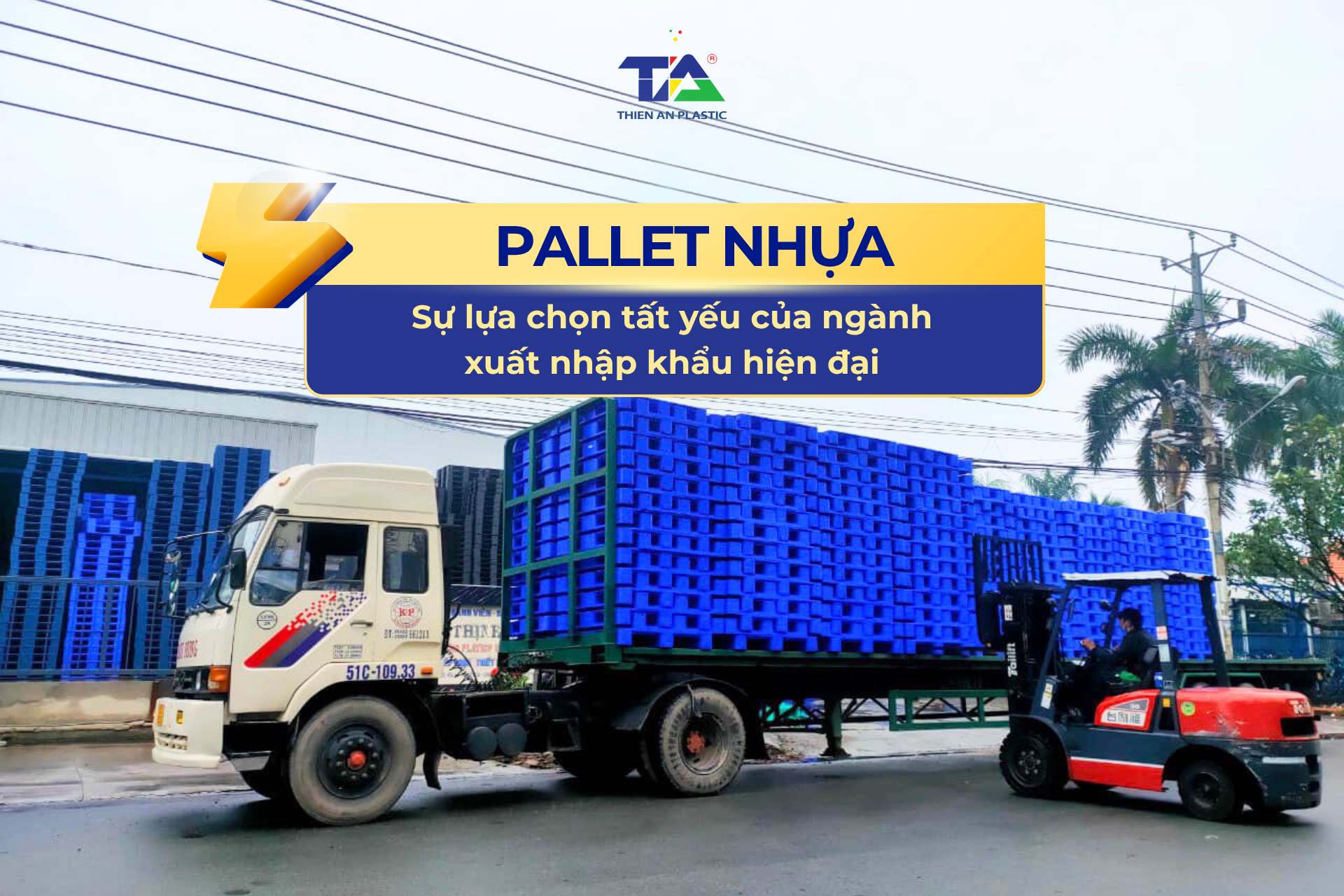 Pallet nhựa sự lựa chọn tất yếu cho ngành xuất nhập khẩu hiện đại