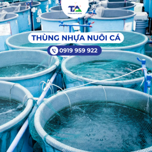 Thùng nhựa nuôi cá an toàn, chất lượng cao
