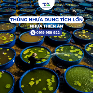 Thùng nhựa dung tích lớn - Giải pháp lưu trữ và sản xuất hiệu quả